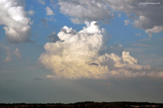 Cumulus Congestus - 27 juillet 2005 - Mini